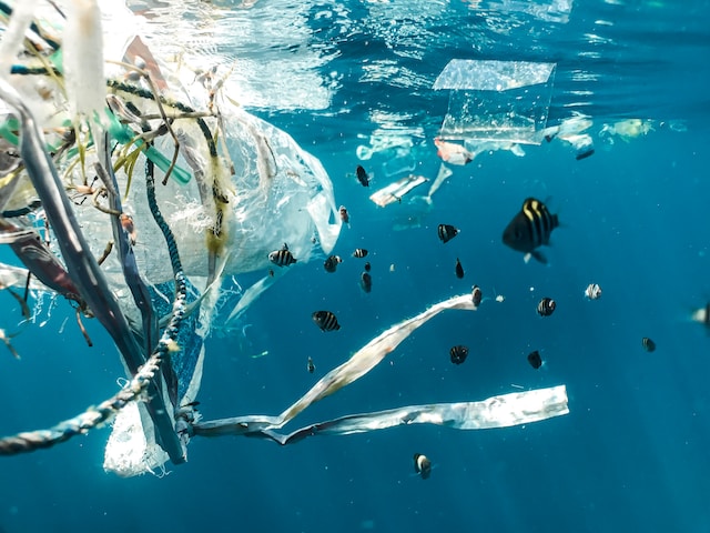 Imagen de contaminación plástica en el océano donde basura plástica esta al lado de peces.